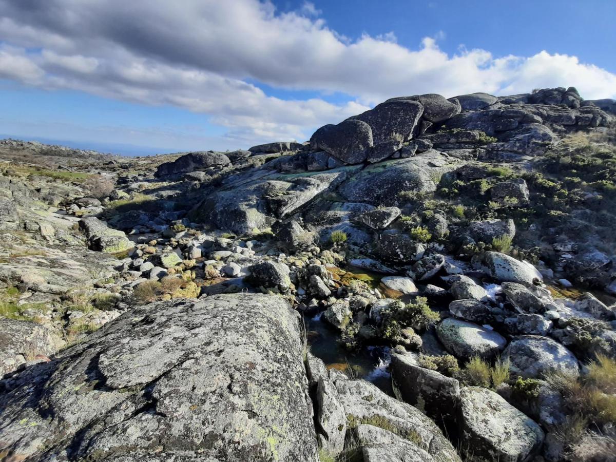 Casa Da Bela Vista - Serra Da Estrela Covilhã Eksteriør bilde