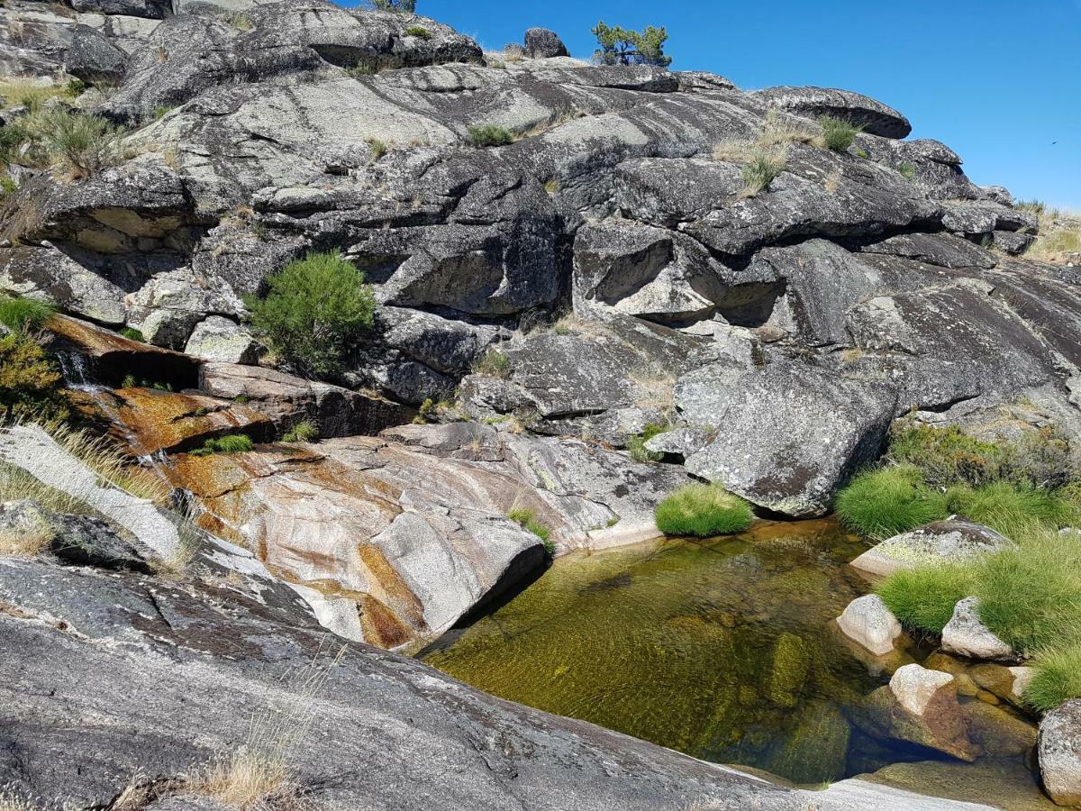 Casa Da Bela Vista - Serra Da Estrela Covilhã Eksteriør bilde