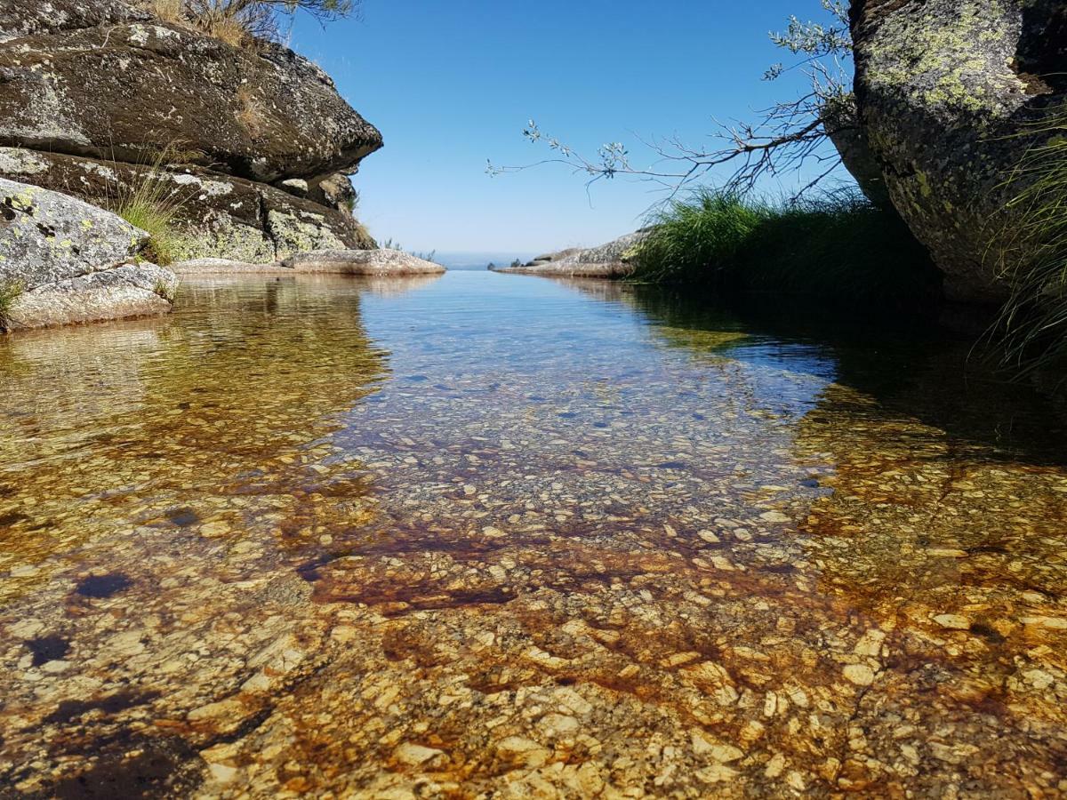 Casa Da Bela Vista - Serra Da Estrela Covilhã Eksteriør bilde